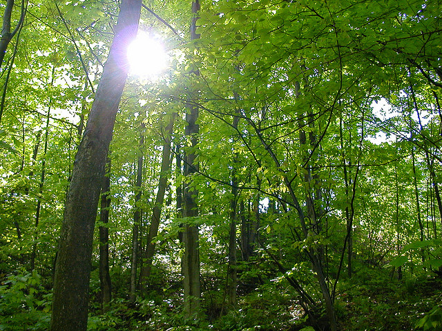 photo by Justin Henry