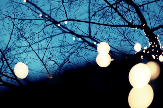 photo by Brian Talbott