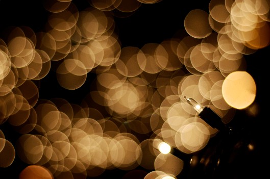 photo by Brian Talbot