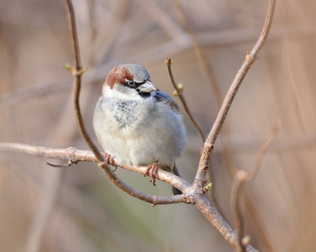 photo by janetandphil