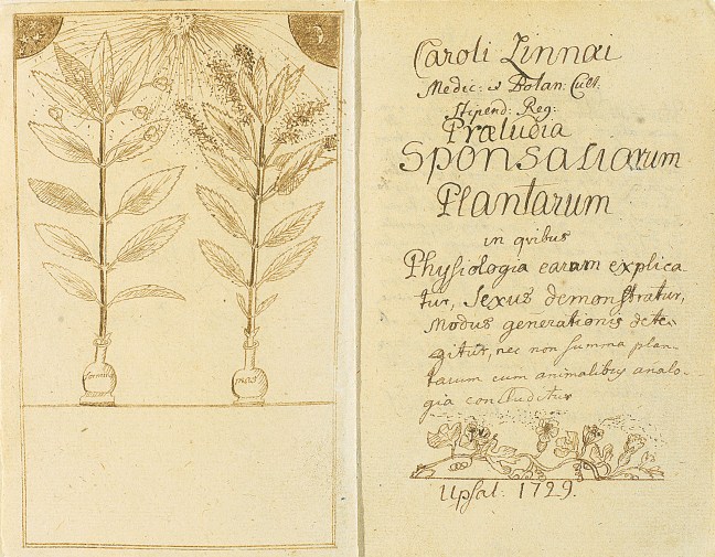 Photo: Wikipedia