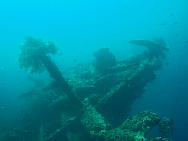 photo by tata_aka_T on flickr