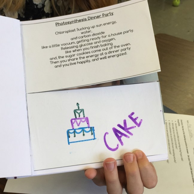 photosynthesis dinner party